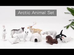 Deniz Hayvanı Resimi