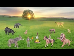 Afrika vahşi yaşamı